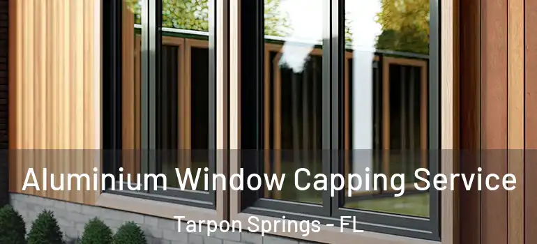 Aluminium Window Capping Service Tarpon Springs - FL