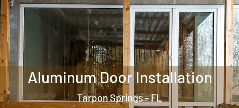 Aluminum Door Installation Tarpon Springs - FL