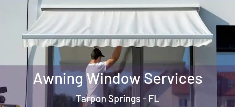 Awning Window Services Tarpon Springs - FL