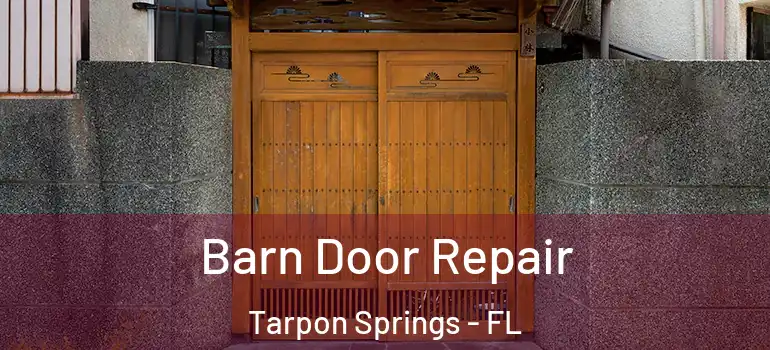 Barn Door Repair Tarpon Springs - FL