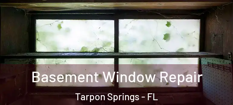 Basement Window Repair Tarpon Springs - FL