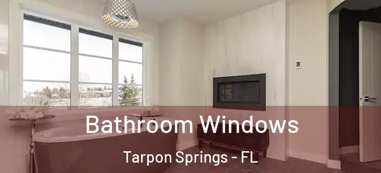  Bathroom Windows Tarpon Springs - FL
