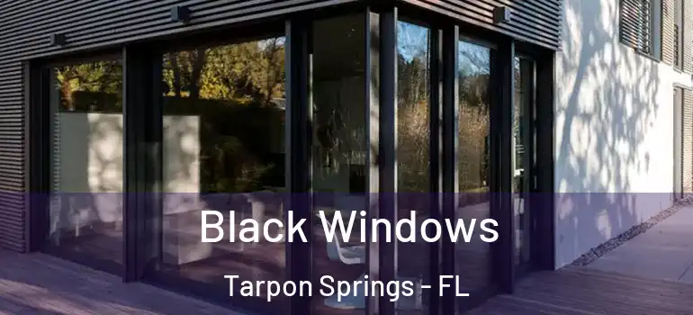 Black Windows Tarpon Springs - FL