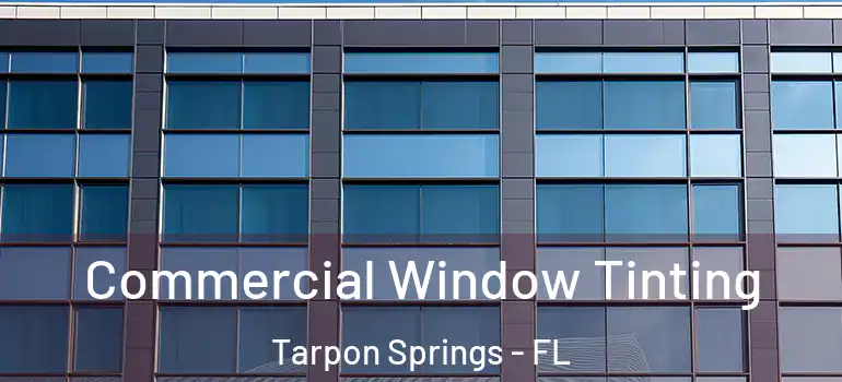 Commercial Window Tinting Tarpon Springs - FL