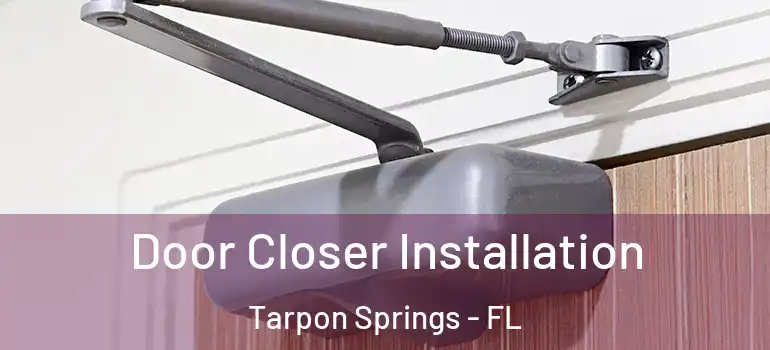 Door Closer Installation Tarpon Springs - FL