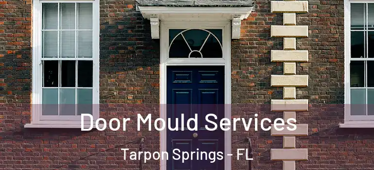 Door Mould Services Tarpon Springs - FL