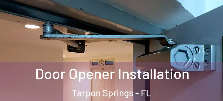 Door Opener Installation Tarpon Springs - FL