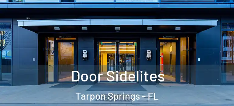 Door Sidelites Tarpon Springs - FL