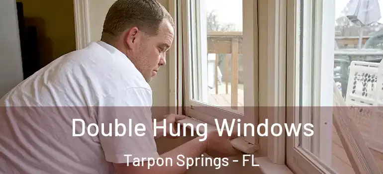 Double Hung Windows Tarpon Springs - FL