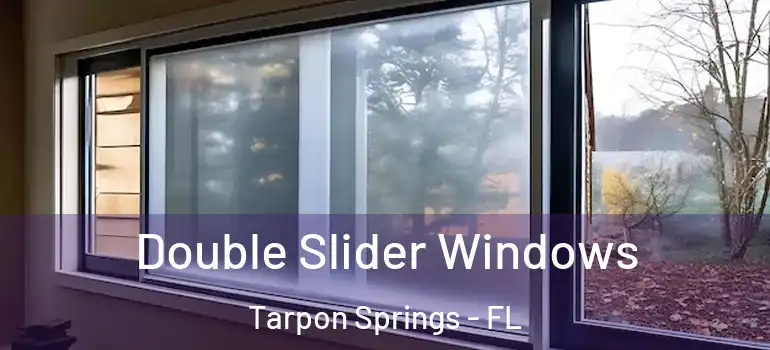 Double Slider Windows Tarpon Springs - FL