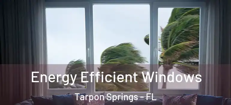 Energy Efficient Windows Tarpon Springs - FL