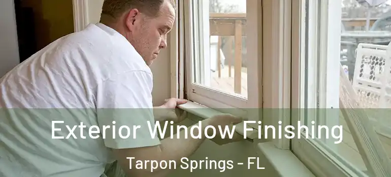 Exterior Window Finishing Tarpon Springs - FL