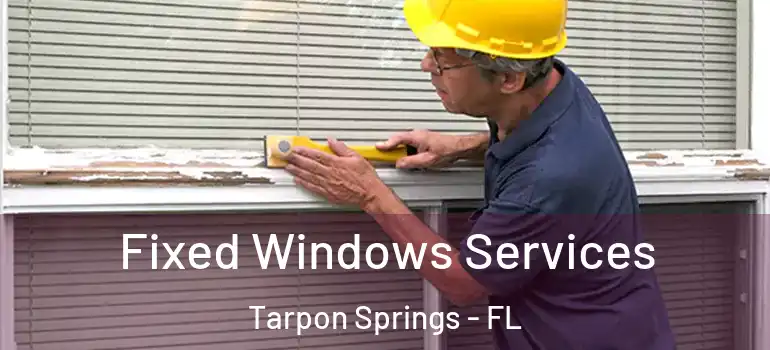 Fixed Windows Services Tarpon Springs - FL