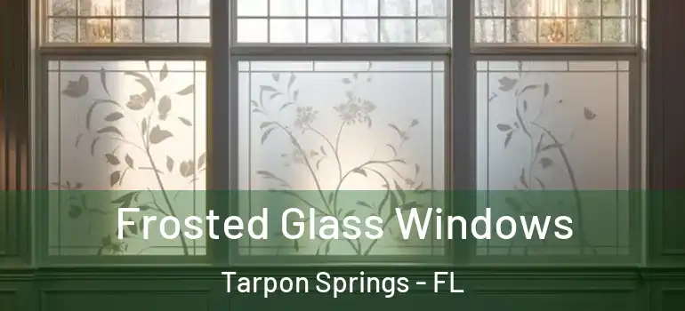  Frosted Glass Windows Tarpon Springs - FL