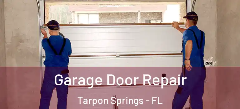 Garage Door Repair Tarpon Springs - FL