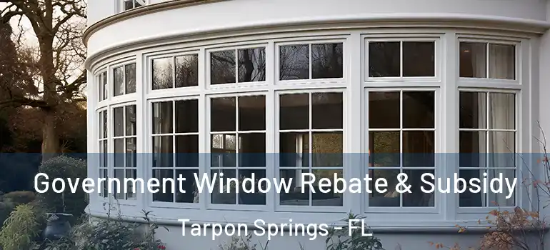 Government Window Rebate & Subsidy Tarpon Springs - FL