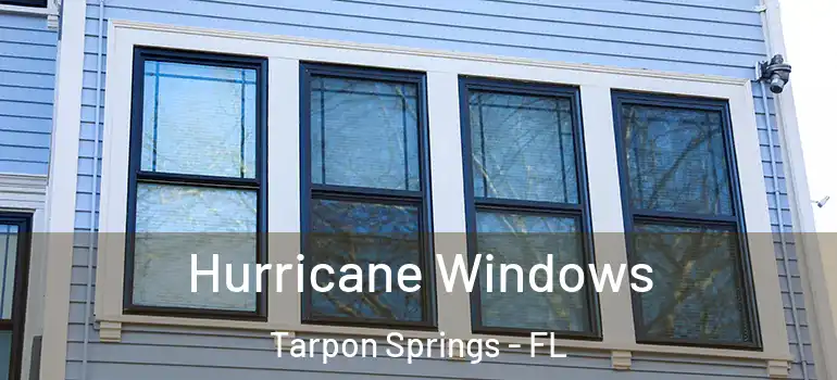 Hurricane Windows Tarpon Springs - FL