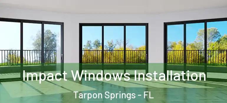 Impact Windows Installation Tarpon Springs - FL