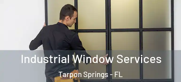  Industrial Window Services Tarpon Springs - FL