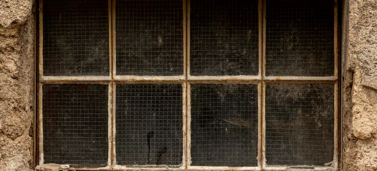 Traditional Double Front Doors in Tarpon Springs, FL