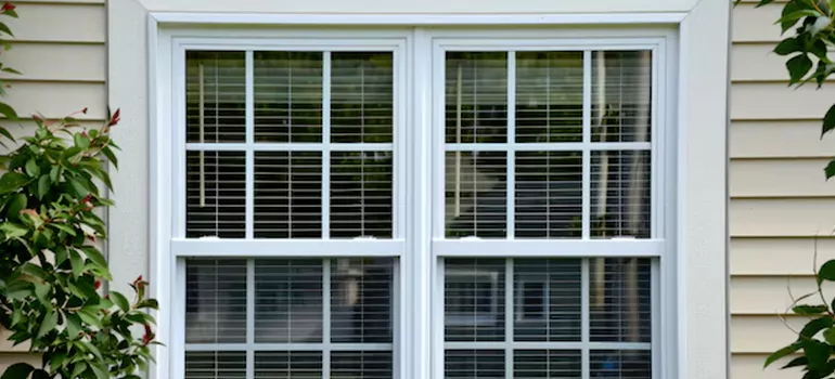 Custom Double Hung Windows in Tarpon Springs, FL