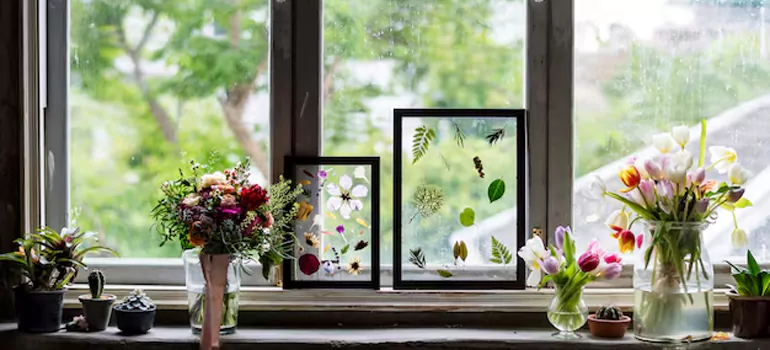 Professional Garden Window Repair in Tarpon Springs, FL