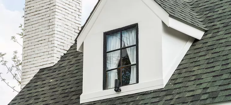 Roof Window Repair in Tarpon Springs, FL