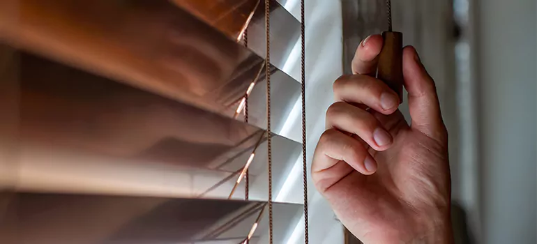 Double Roller Blinds in Tarpon Springs, FL