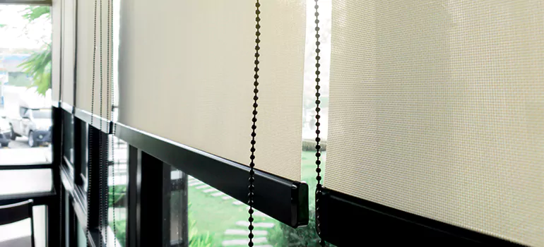 Blackout Window Shades in Tarpon Springs, FL