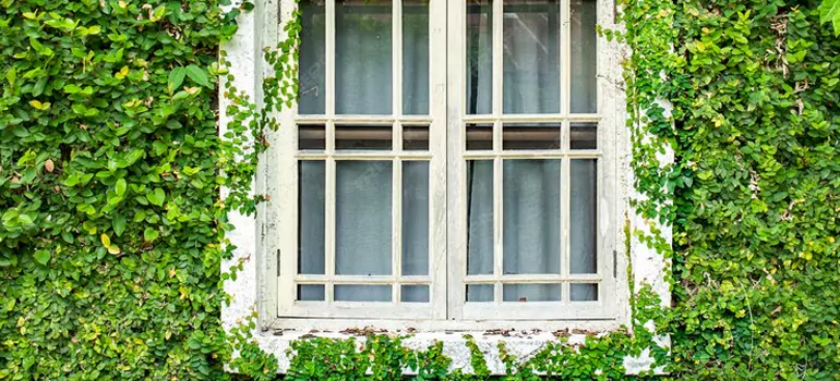 Garden Window Repair Near Me in Tarpon Springs, FL