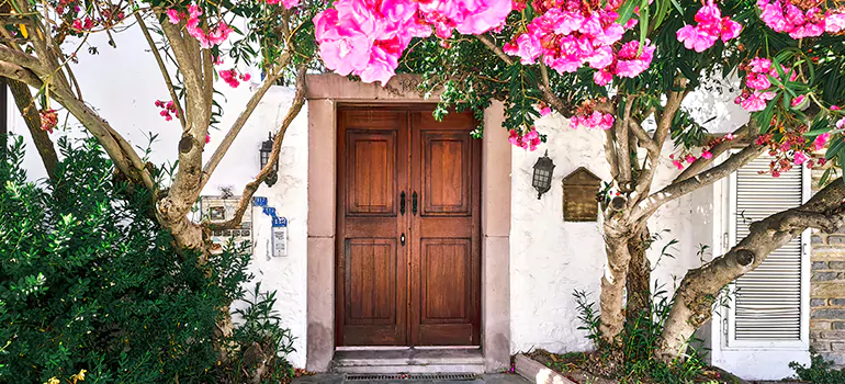 Traditional 4 Panel Internal Doors in Tarpon Springs, FL