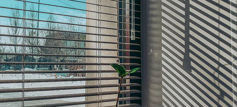Commercial Window Blinds in Tarpon Springs, FL