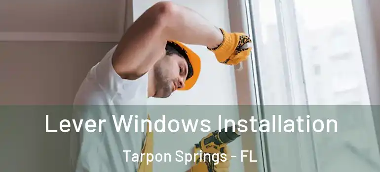 Lever Windows Installation Tarpon Springs - FL