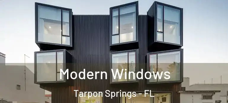 Modern Windows Tarpon Springs - FL
