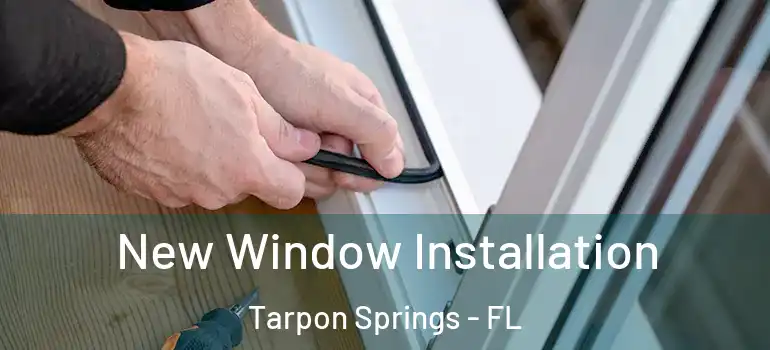 New Window Installation Tarpon Springs - FL