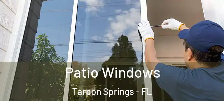Patio Windows Tarpon Springs - FL