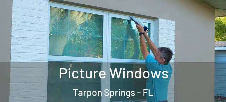 Picture Windows Tarpon Springs - FL