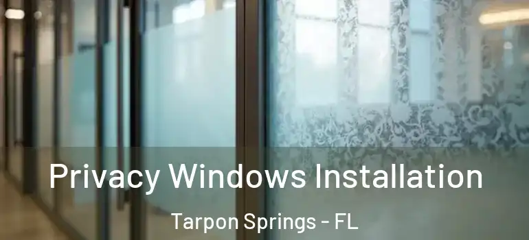 Privacy Windows Installation Tarpon Springs - FL