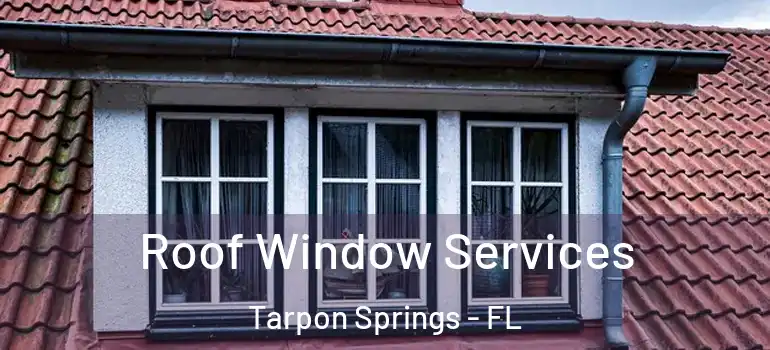 Roof Window Services Tarpon Springs - FL
