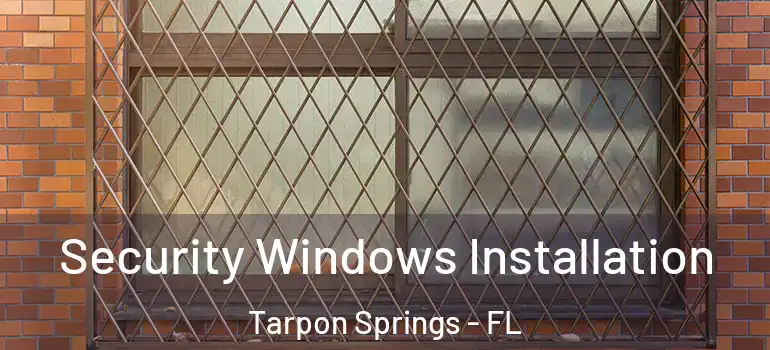 Security Windows Installation Tarpon Springs - FL