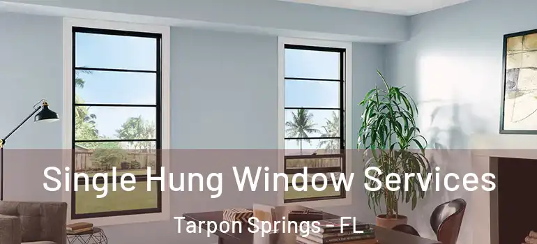 Single Hung Window Services Tarpon Springs - FL