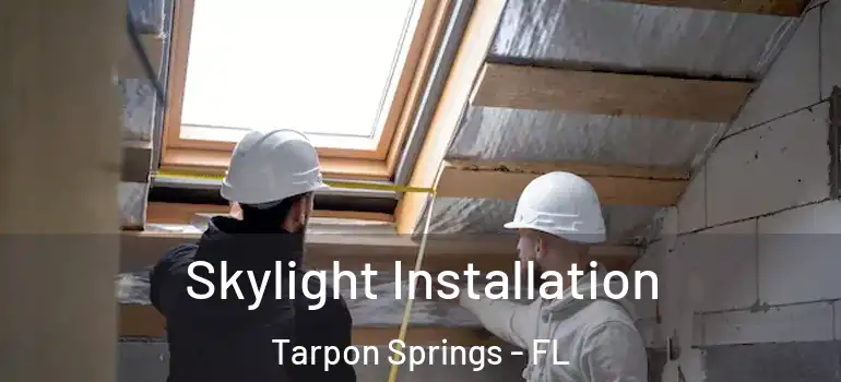 Skylight Installation Tarpon Springs - FL