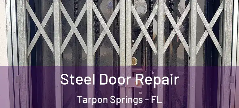 Steel Door Repair Tarpon Springs - FL