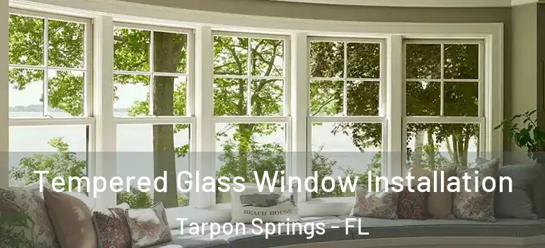 Tempered Glass Window Installation Tarpon Springs - FL