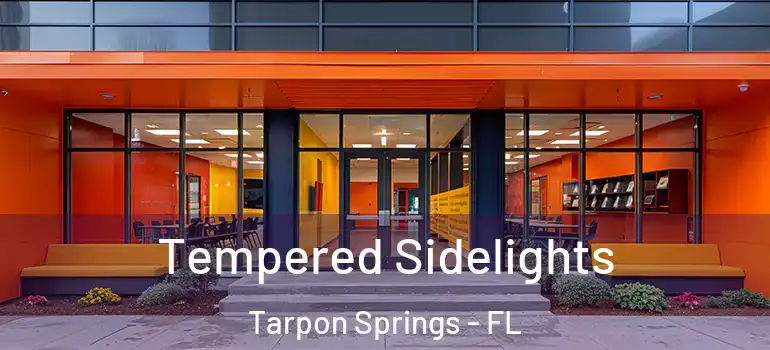  Tempered Sidelights Tarpon Springs - FL