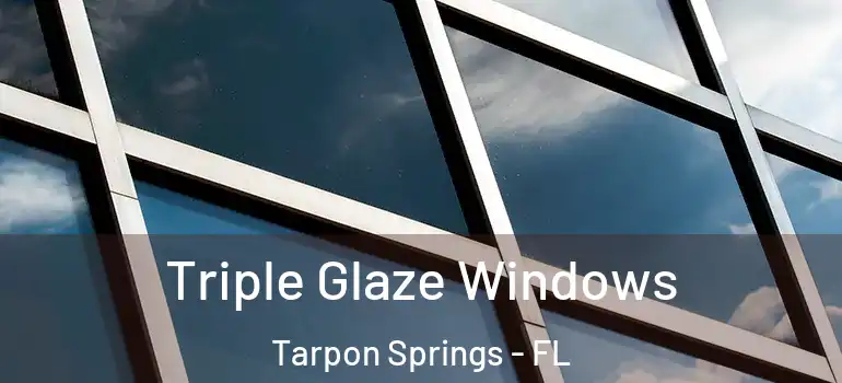Triple Glaze Windows Tarpon Springs - FL