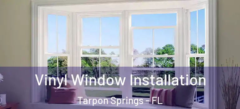 Vinyl Window Installation Tarpon Springs - FL