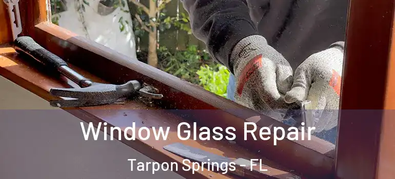 Window Glass Repair Tarpon Springs - FL