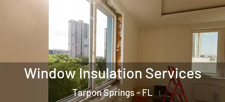 Window Insulation Services Tarpon Springs - FL