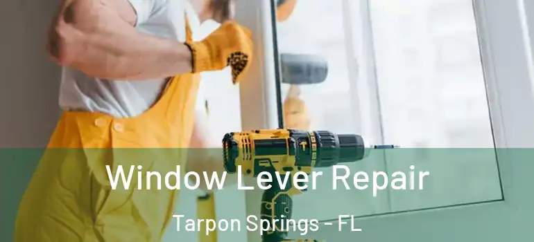 Window Lever Repair Tarpon Springs - FL